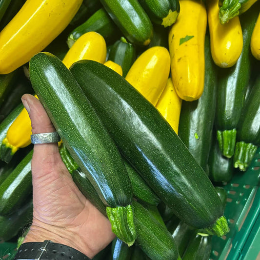 Zucchini