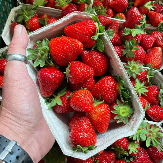 Erdbeeren