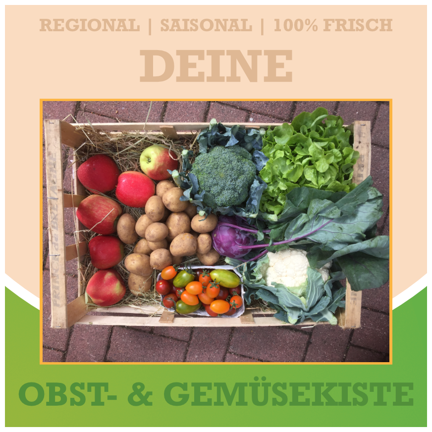 Überraschungskiste