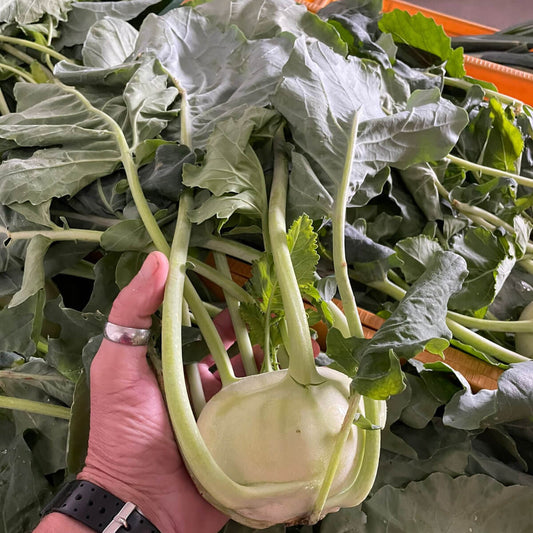 Kohlrabi