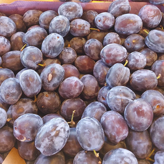 Pflaumen (Hanita)