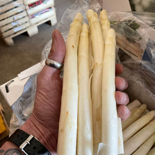 Spargel, weiß